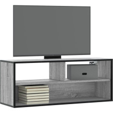 Vidaxl TV skapītis, pelēks, 100x31x39,5 cm, inženierijas koks, metāls